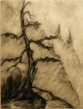 Josef Neukirch Landschaft sw Nr. 0027 / copyright Peneder